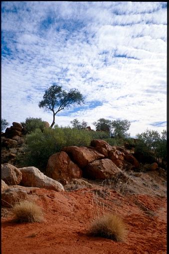 Australia Outback Desert Stock Photo - Download Image Now - iStock