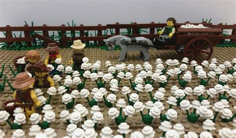 [ESL-FB4] Cotton Plantation on An Holli - Brethren of the Brick Seas ...