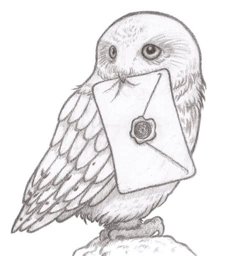 Hedwig | Harry potter art drawings, Harry potter drawings, Harry potter ...