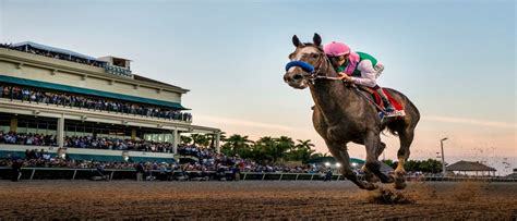 Pegasus World Cup 2023 Preview - Sportsbook Pay Per Head