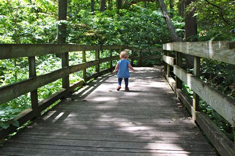 Frolicking in the Fontenelle Forest | Our Next Adventure