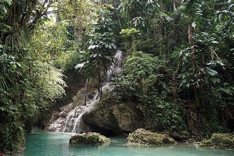 What is a Tropical Rainforest Climate? - WorldAtlas