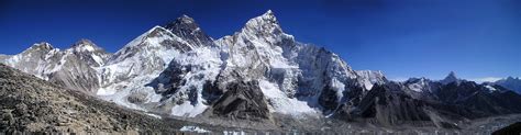 Mount Everest Animals | Wildlife Wiki Page - Twinkl