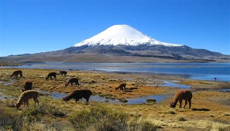 Rutero | Descubre los Parques Nacionales más visitados de Chile