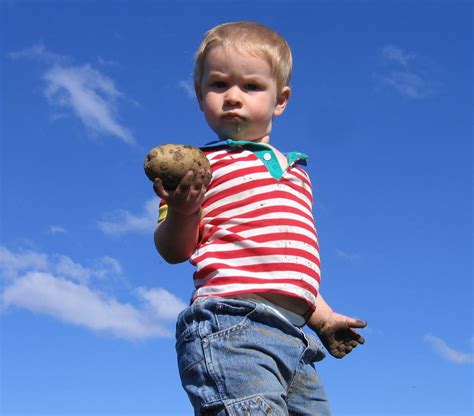 Dad Makes Toddler Hold Potato to Stop Tantrum | POPSUGAR Family