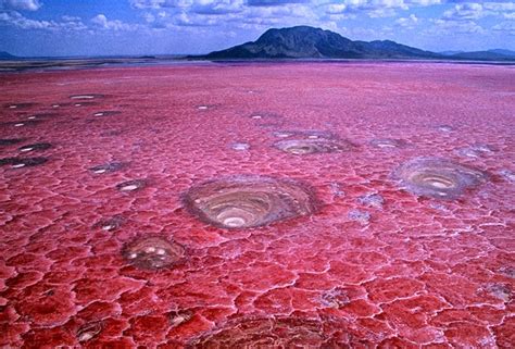 Hillier Lake Unique Place in Australia - Gets Ready