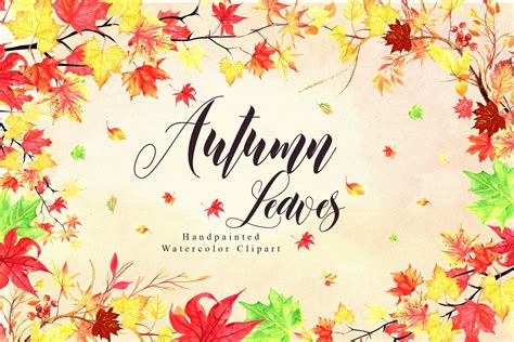 Fall Watercolor Leaves Collection | Decorative Illustrations ~ Creative Market