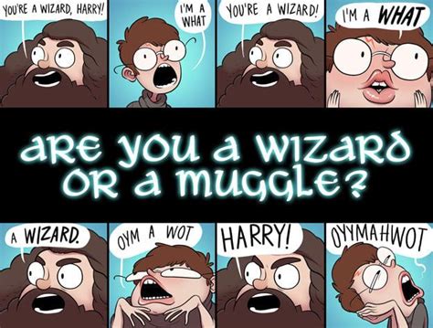 Are You A Wizard Or A Muggle? | Harry potter funny, Harry potter memes ...