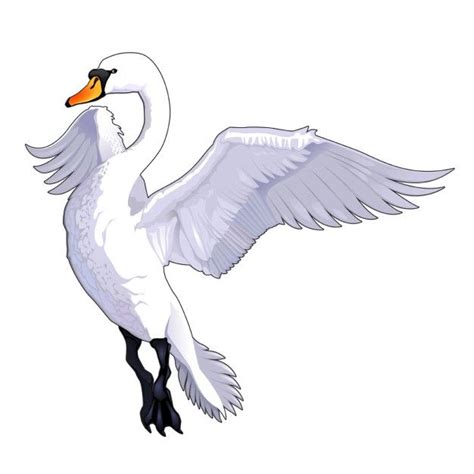 Download Swan Cartoon for free | Fly drawing, Swan drawing, Cartoon birds