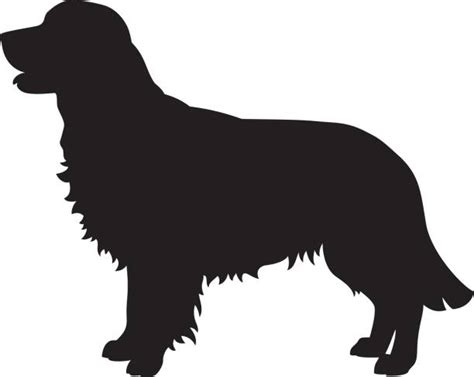 Golden Retriever Silhouette Face : Vector image of an dog (golden retriever). - Deiafa Ganello