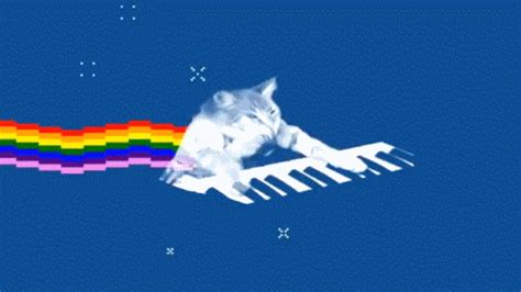 GIF piano cat nyan - GIF animado em GIFER - de Bandinara