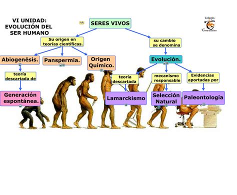 Evolución del Hombre