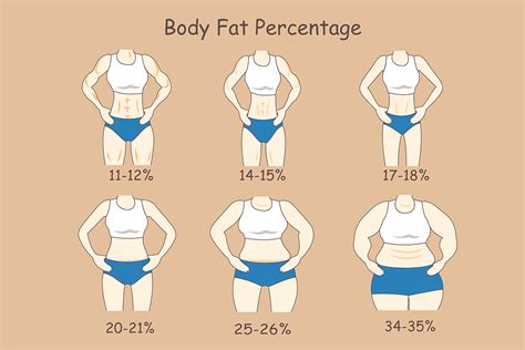 How Much Should I Weigh? Ideal Body Weight Calculator for Women & Men ...