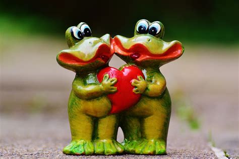 Frogs Pair Funny · Free photo on Pixabay