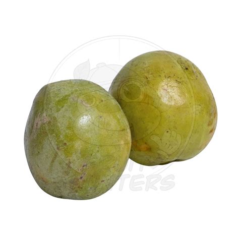 PRE-ORDER White Sapote – Fruit Hunters