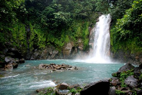 Rio Celeste & Tenorio Volcano Guided Rainforest Hike