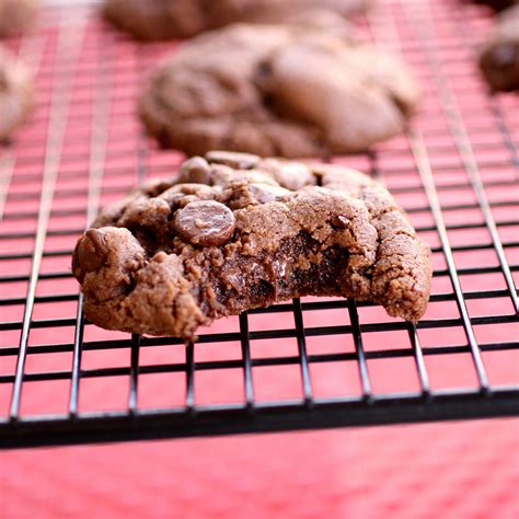 Double Chocolate Peanut Butter Cookies