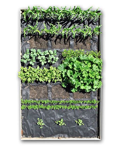 Seedsheet 10' x 16' Organic Vegetable and Fruit Seed Sheet | Garden ...