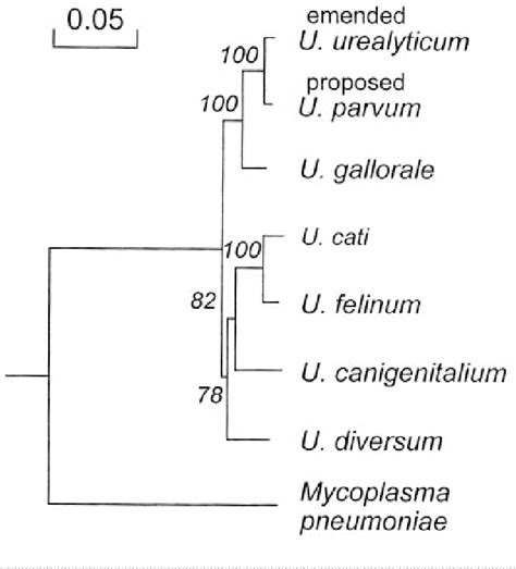 Figure 1 from Proposal of Ureaplasma parvum sp. nov. and emended description of Ureaplasma ...