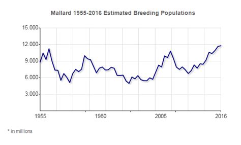 Mallard | Types of Ducks & Geese