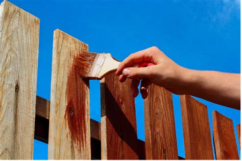 Protecting Your Investment: When is the Best Time to Stain Your New Cedar Fence? - Yard Of Dreams