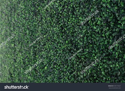 Artificial Grass Field Top View Texture Stock Photo 539173327 ...