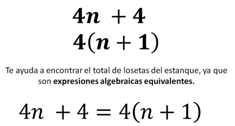 Equivalencia de expresiones algebraicas de una sucesión - Matemáticas Segundo de Secundaria ...