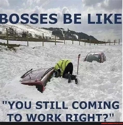 Brrrr! Funny Snow Memes For The Winter of 2024