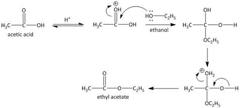 Esterification Reaction