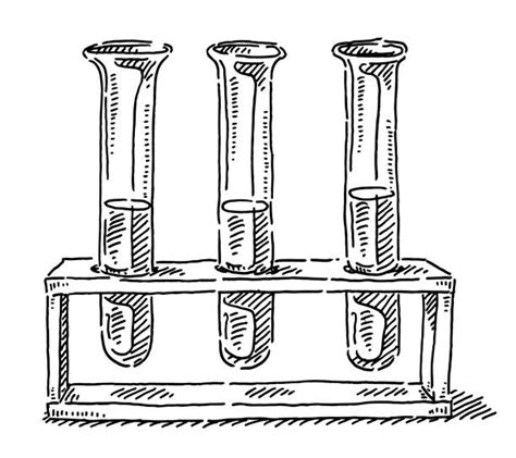 940+ Drawing Of A Test Tubes Stock Illustrations, Royalty-Free Vector ...