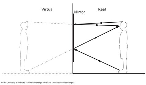 Reflections in a full-length mirror — Science Learning Hub