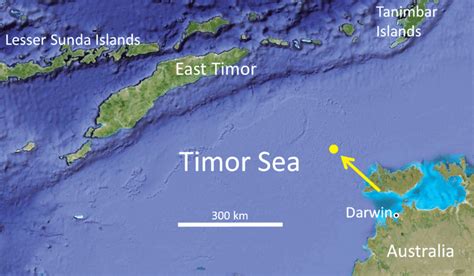 Map of Timor Sea showing collection locality (yellow spot) for type ...