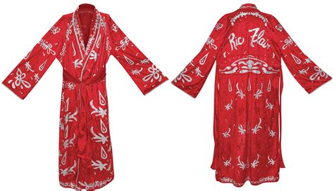 Ric Flair Robe – Brian.Carnell.Com