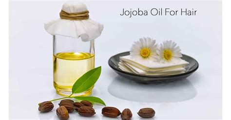 Uses and Benefits of Jojoba Oil for Happy, Healthy Hair