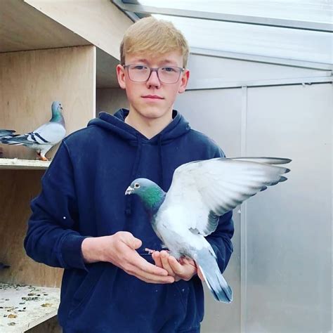 Rhys White pigeons | Livingston