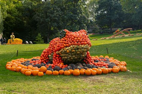 Ludwigsburg Pumpkin Festival: How to Visit From Munich (2022 Update)