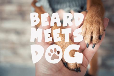 Branding and Squarespace Website for Local Dog Behaviourist in Bournemouth — The Raff Creative ...