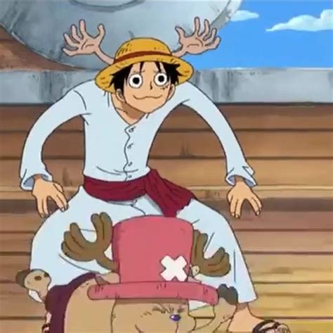 luffy and chopper | One peice anime, One piece funny, Luffy