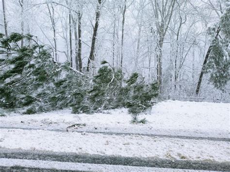 Virginia snow storm damage stock photo. Image of grass - 241162544