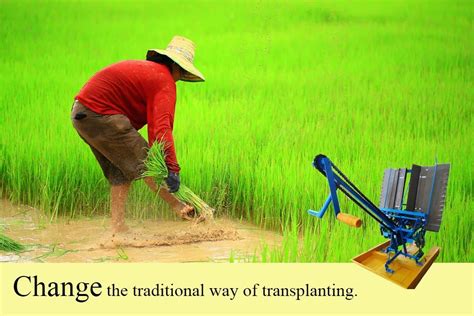 Philippine Rice Transplanter Paddy Rice Planting Machine And Prices - Buy Philippine Rice ...