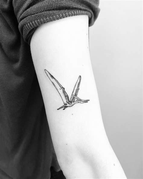 Pterodactyl tattoo by Jake Harry Ditchfield - Tattoogrid.net