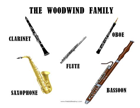 Woodwind instrument