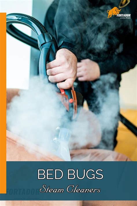 Bed Bug Steam Cleaner | How to Get Rid of Bed Bugs