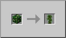 Jungle Sapling | How to craft jungle sapling in Minecraft | Minecraft Wiki