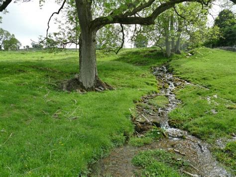 Spring near Swale Hall © Stephen Craven cc-by-sa/2.0 :: Geograph Britain and Ireland