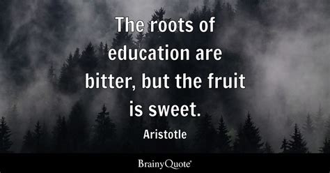 😂 Aristotle view on education. Aristotle’s Views on Education. 2019-01-16