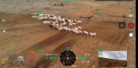 Drone Mustering Workshop | Meat & Livestock Australia