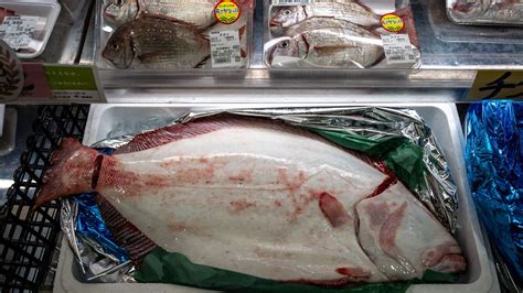 Japan: PM eats fish caught off Fukushima’s coast after radioactive ...