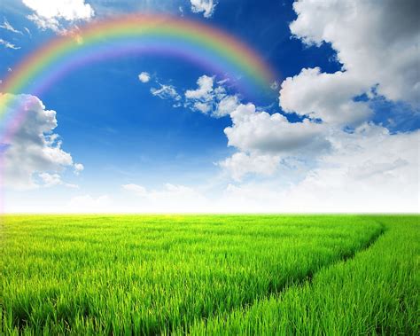 Nature Rainbow Sky Fields Scenery Grass Clouds HD wallpaper | Pxfuel