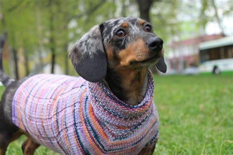 KNITTING PATTERN Scrap Yarn Cowl Neck Mini Dachshund Dog - Etsy | Mini dachshund, Dog harness ...